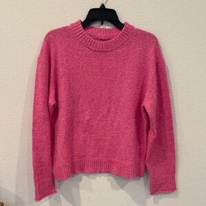 American Eagle Outfitters Fuchsia Crew Neck Sweater